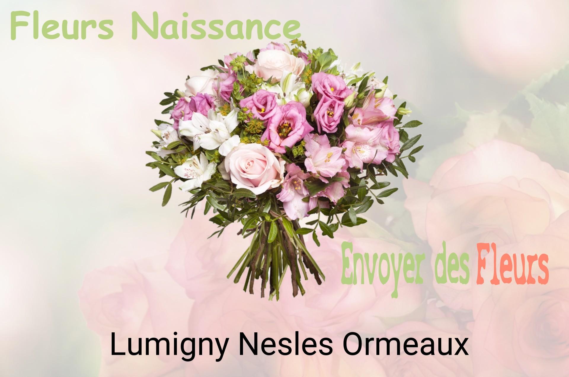 Bouquet de fleurs de naissance livré à Lumigny-Nesles-Ormeaux